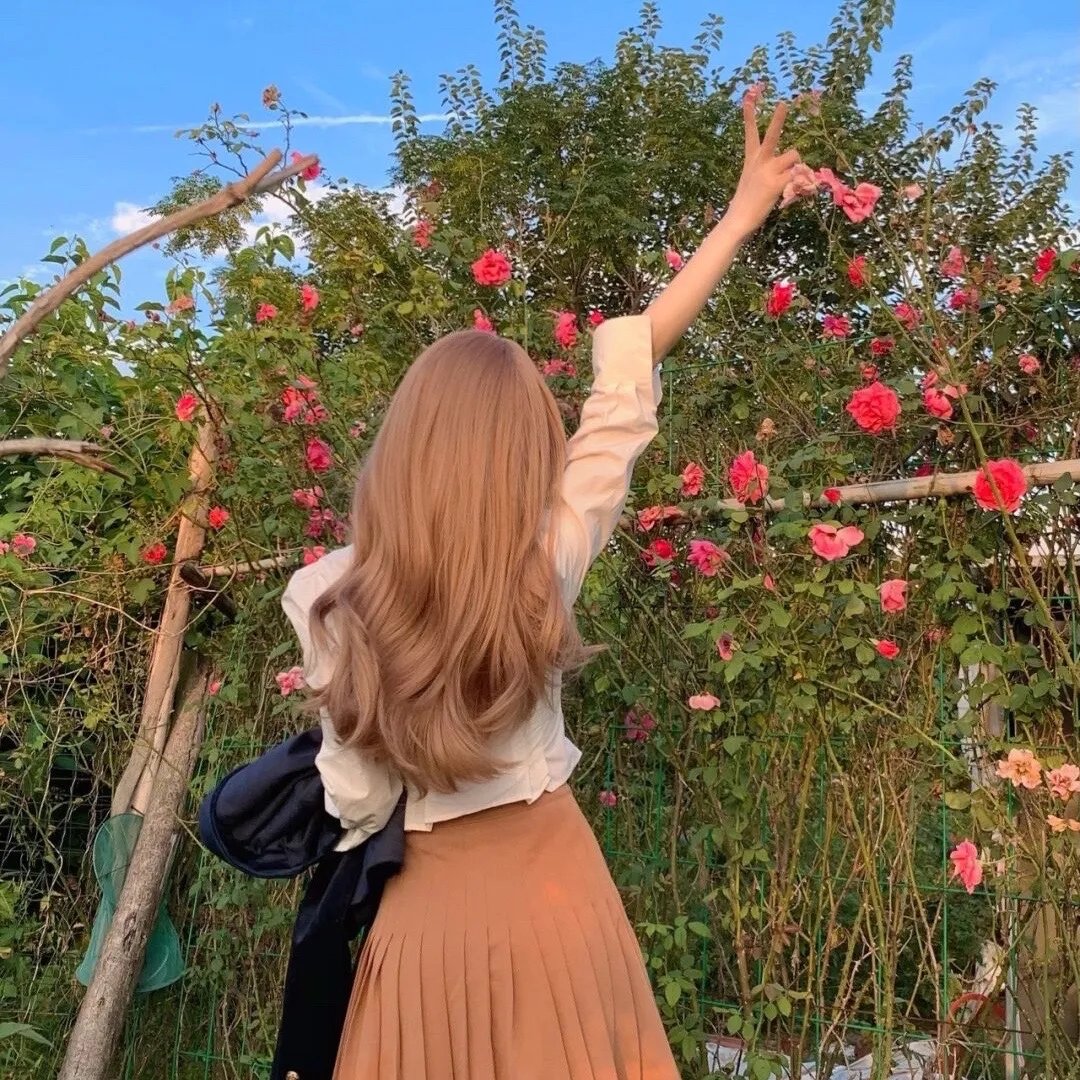 小树的天空